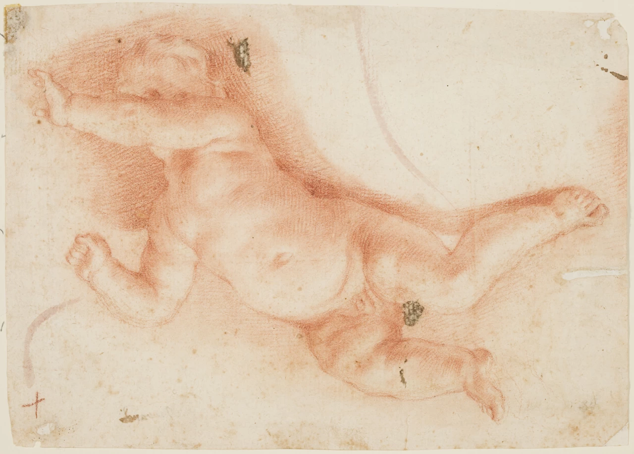  96-Andrea Sacchi-studio di putto -Museo di Capodimonte, Napoli 